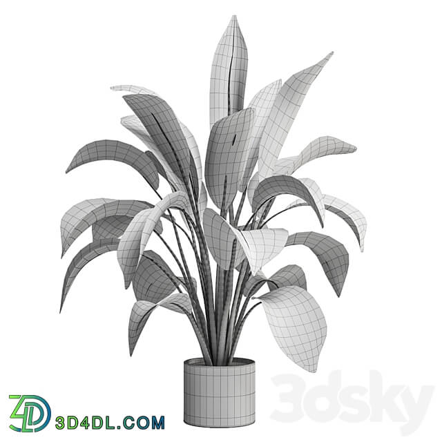 Indoor Plants in Ferm Living Bau Pot Large Set 136 3D Models 3DSKY