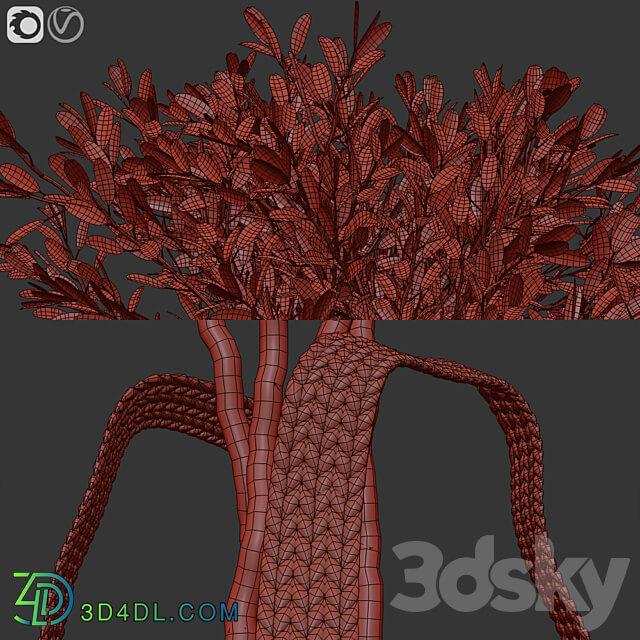 Olive trees 5 3D Models 3DSKY