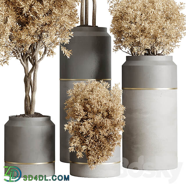 collection autumn leaves Indoor plant 128 dirty concrete pots dry plants vray 3D Models 3DSKY