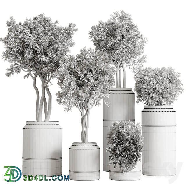 collection autumn leaves Indoor plant 128 dirty concrete pots dry plants vray 3D Models 3DSKY