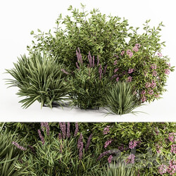 Mixed Plant Bush Green and Purple Bush Set 50 3D Models 3DSKY 