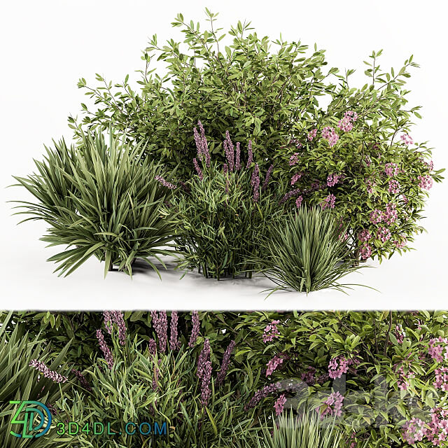 Mixed Plant Bush Green and Purple Bush Set 50 3D Models 3DSKY