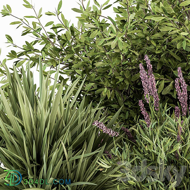 Mixed Plant Bush Green and Purple Bush Set 50 3D Models 3DSKY