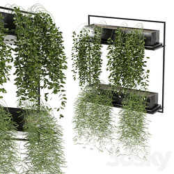 indoor hanging plants in metal box set 142 3D Models 3DSKY 