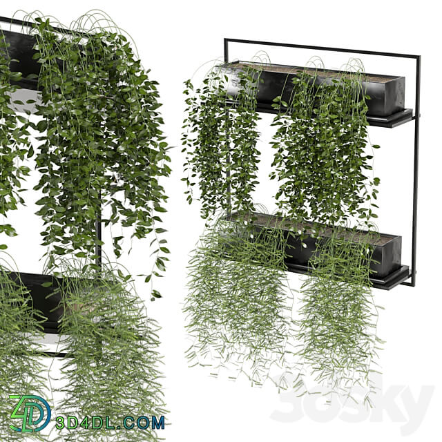 indoor hanging plants in metal box set 142 3D Models 3DSKY