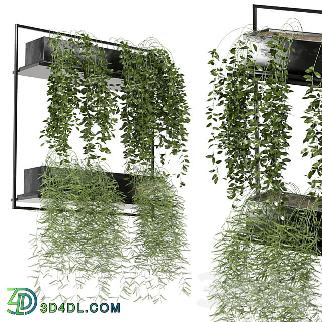 indoor hanging plants in metal box set 142 3D Models 3DSKY