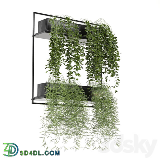 indoor hanging plants in metal box set 142 3D Models 3DSKY