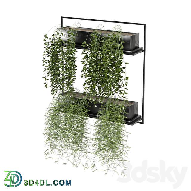 indoor hanging plants in metal box set 142 3D Models 3DSKY