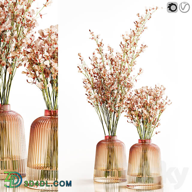 Orchid Oncidium Pink 3D Models 3DSKY