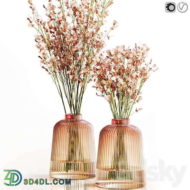 Orchid Oncidium Pink 3D Models 3DSKY