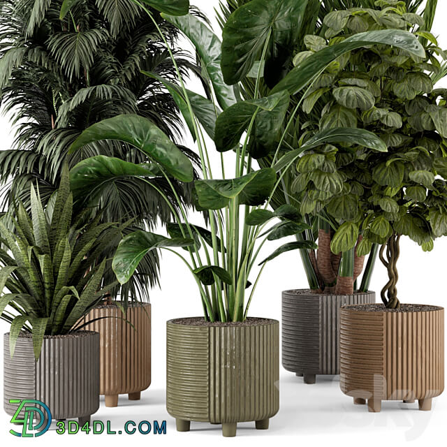 Indoor Planters in Cecilia Ficonstone Pot Set 349 3D Models 3DSKY