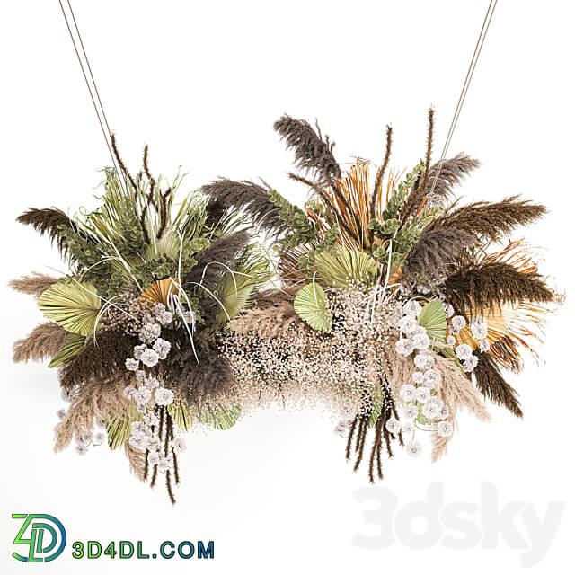 Hanging bouquet 232. Dried flower palm leaf dry decor pampas grass suspension reeds decor decoration 3D Models