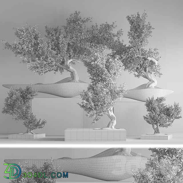indoor plant bonsai set 29 3D Models 3DSKY