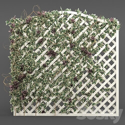 ivy grid panel 4 different ivy composition 3D Models 3DSKY 