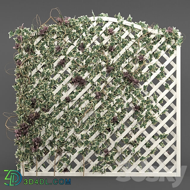 ivy grid panel 4 different ivy composition 3D Models 3DSKY