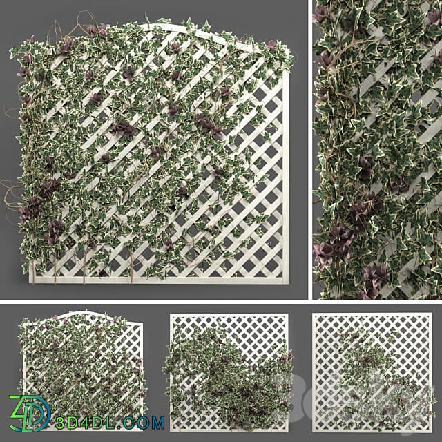 ivy grid panel 4 different ivy composition 3D Models 3DSKY