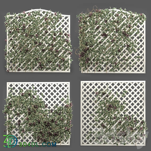 ivy grid panel 4 different ivy composition 3D Models 3DSKY