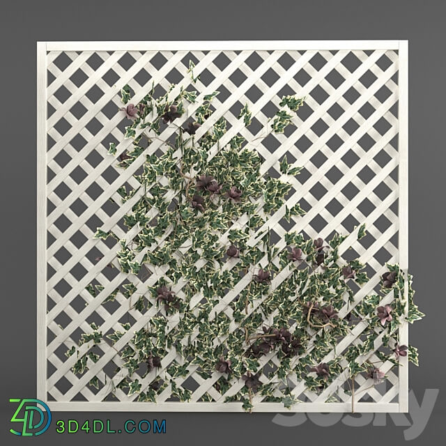 ivy grid panel 4 different ivy composition 3D Models 3DSKY