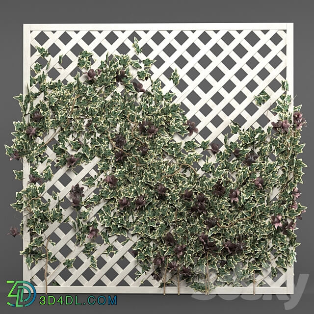 ivy grid panel 4 different ivy composition 3D Models 3DSKY