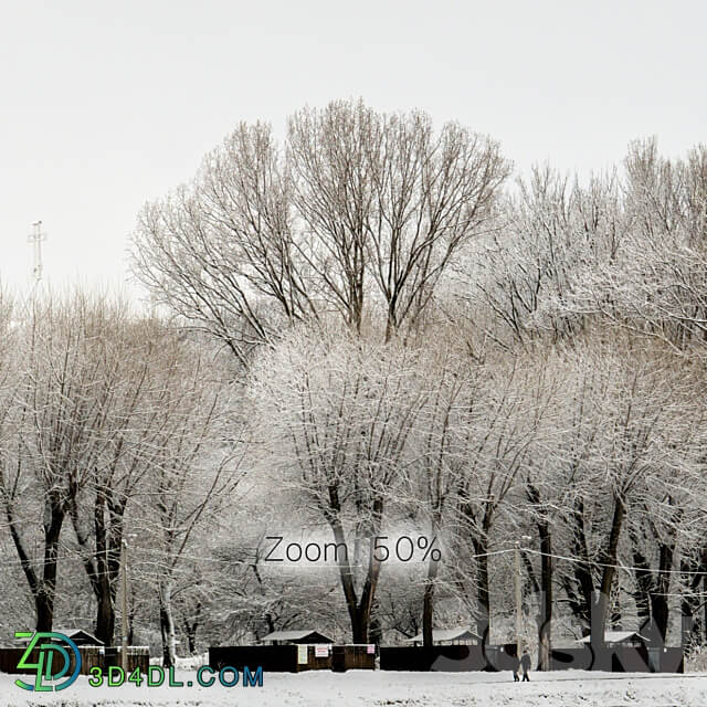 Panorama of the park with a lake and snow covered trees. 30k 3D Models