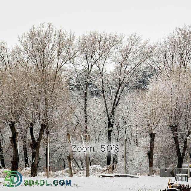 Panorama of the park with a lake and snow covered trees. 30k 3D Models