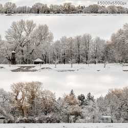 Panorama of the park and snow covered trees. 45k 3D Models 