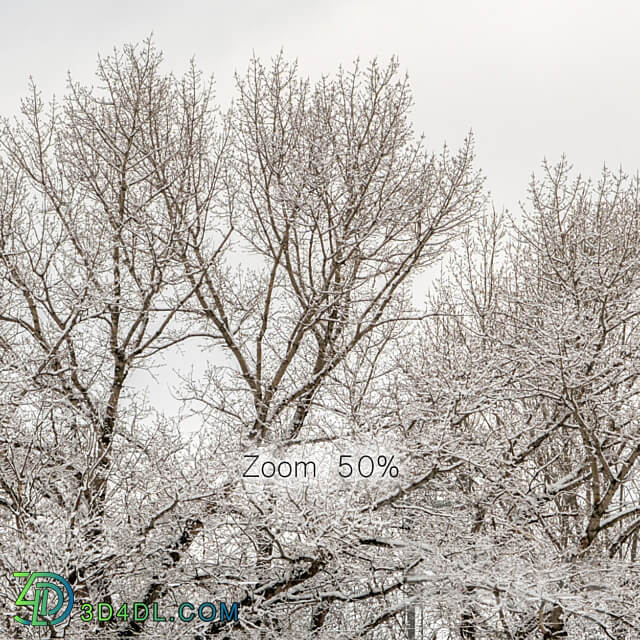 Panorama of the park and snow covered trees. 45k 3D Models