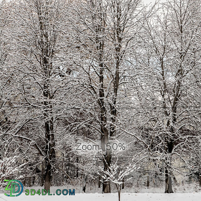 Panorama of the park and snow covered trees. 45k 3D Models