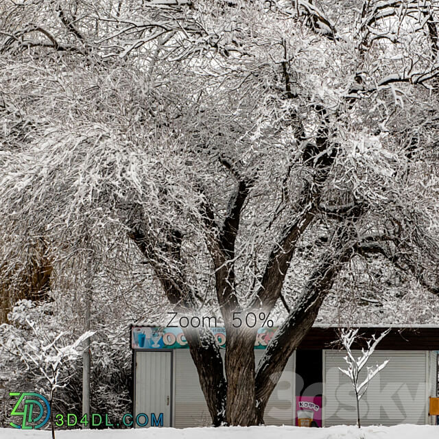 Panorama of the park and snow covered trees. 45k 3D Models