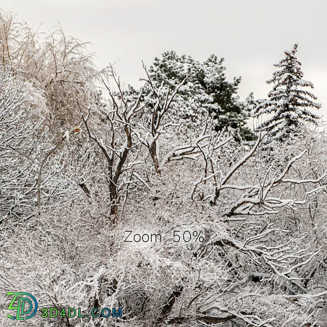 Panorama of the park and snow covered trees. 45k 3D Models