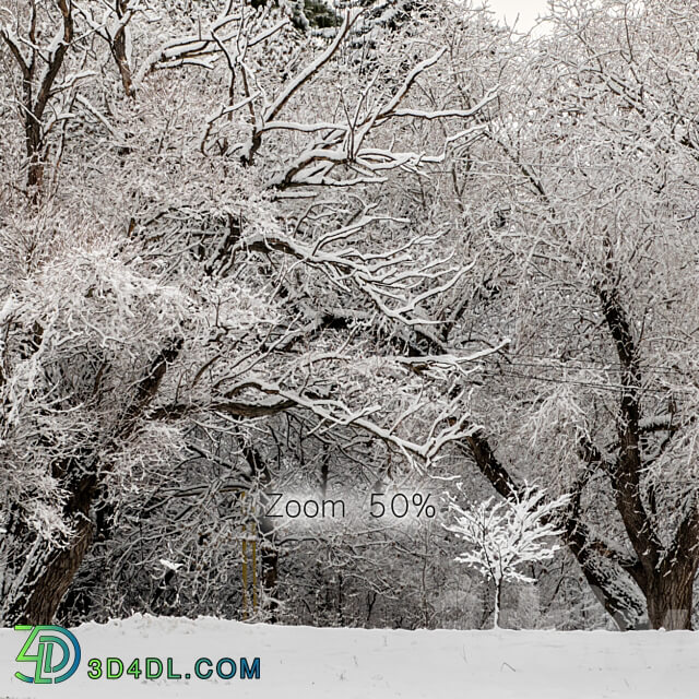 Panorama of the park and snow covered trees. 45k 3D Models