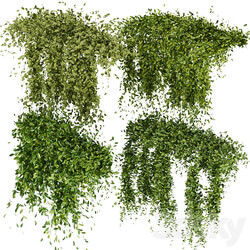 Collection Plant Vol 293 Fitowall Leaf Ivy 3D Models 