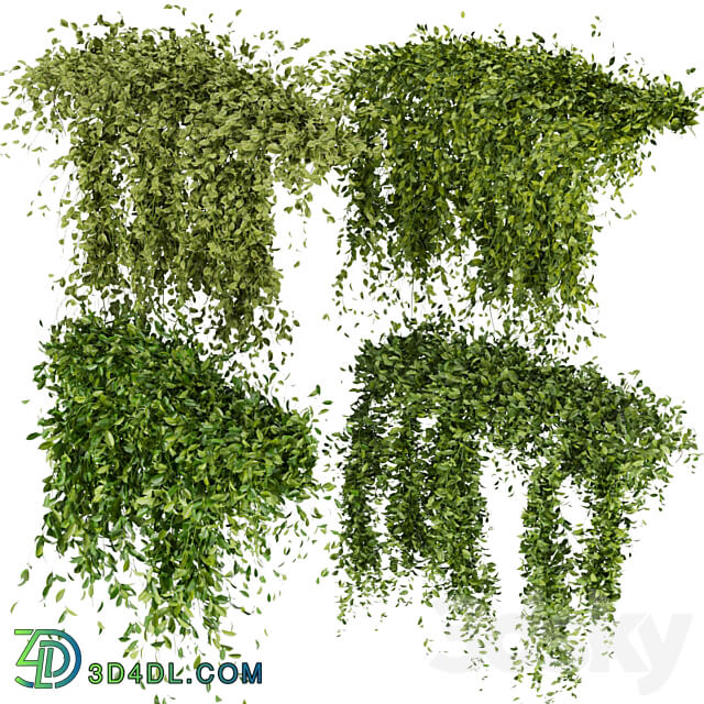 Collection Plant Vol 293 Fitowall Leaf Ivy 3D Models