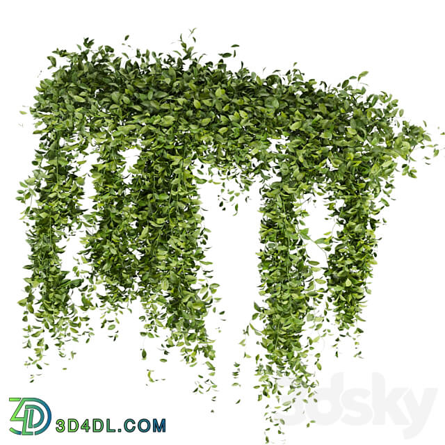 Collection Plant Vol 293 Fitowall Leaf Ivy 3D Models