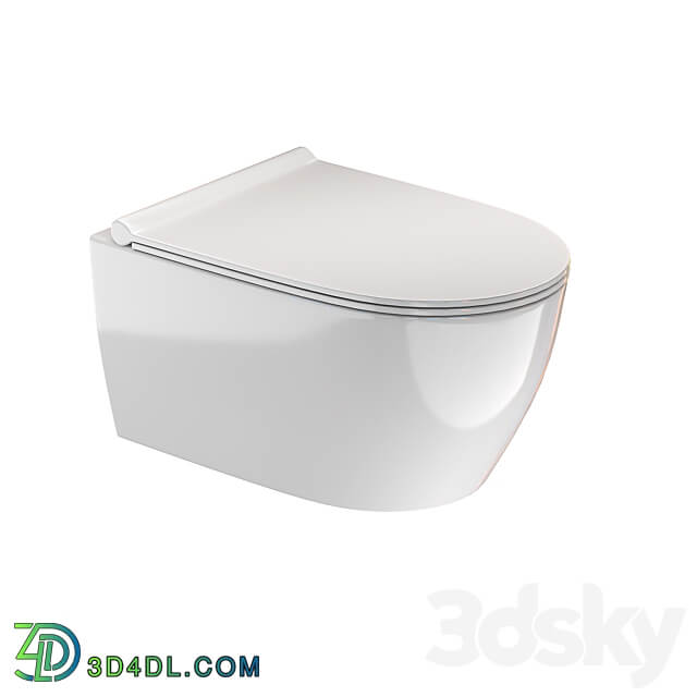 Wall hung rimless toilet Catalano Sfera NewFlush 3D Models