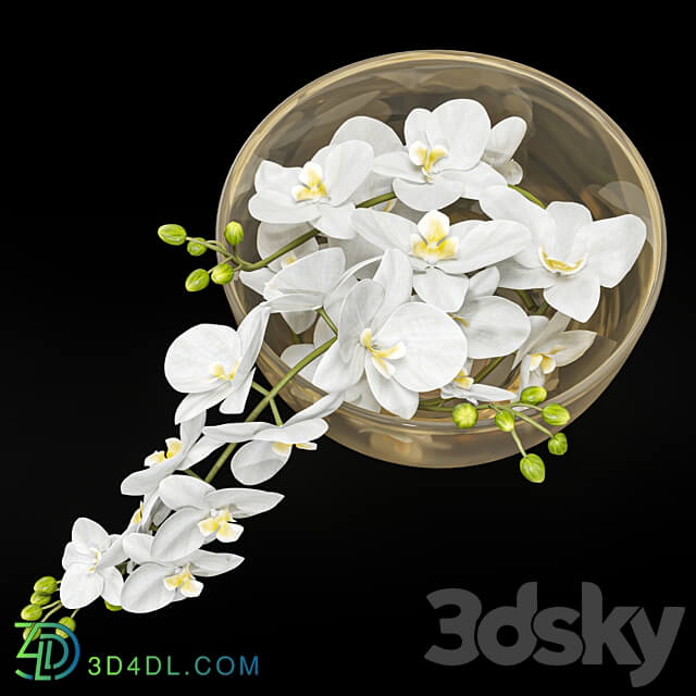 Decoration Set 41 3D Models