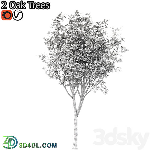 Set of Korean Oak and simple Oak Trees 3D Models