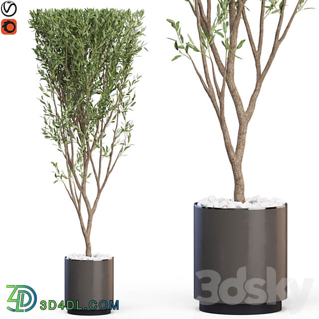 Plants collection 624 3D Models