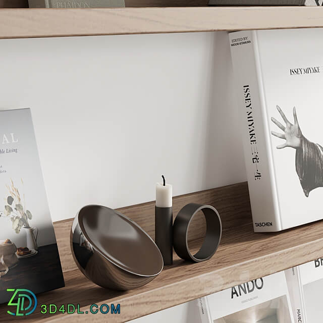 095 Decor on shelves 01 books and neutral 00 3D Models