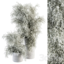 Green Branch in Concrete vase 79 3D Models 