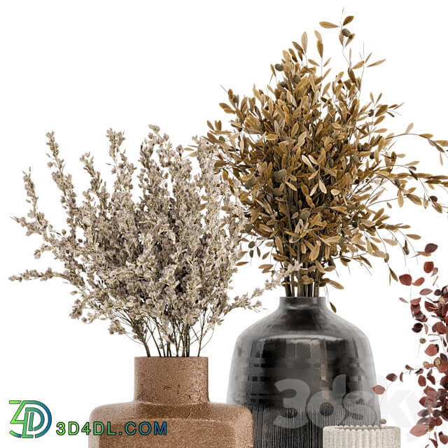 Dry Plants Bouquet Collection In Concrete Pot Set 442 3D Models