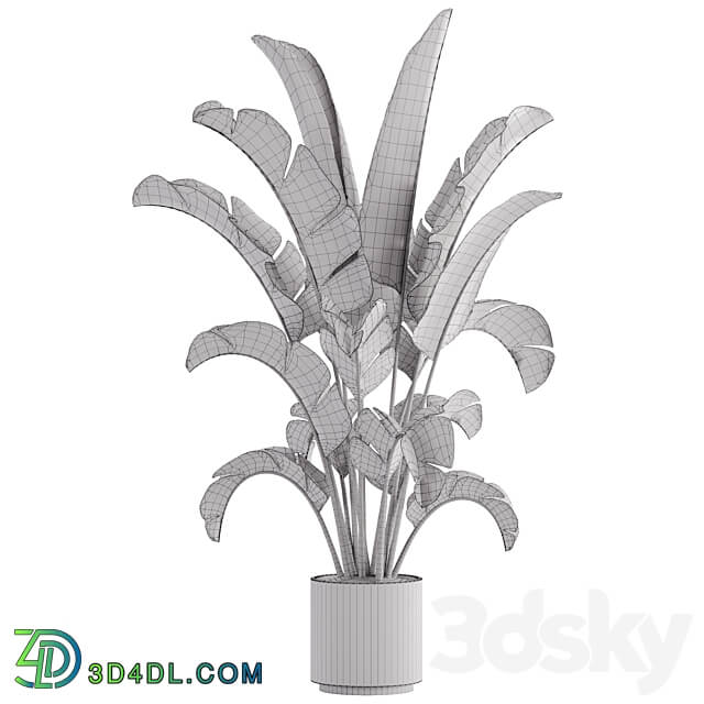 indoor plant Set 15 3D Models