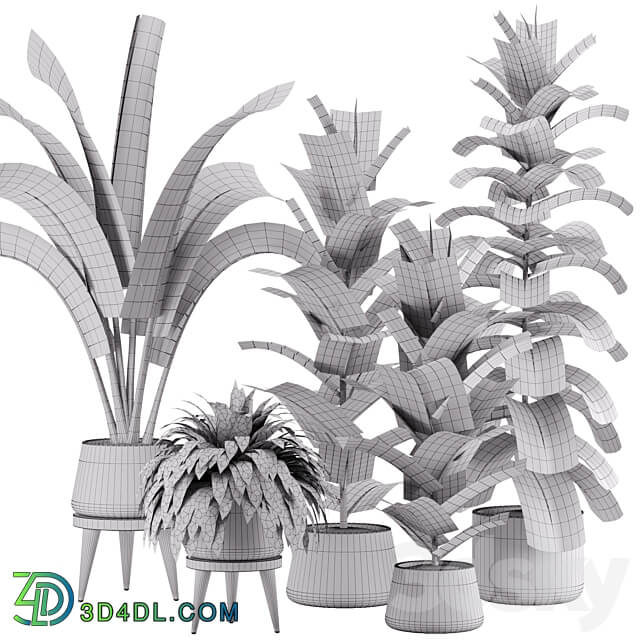 indoor plant Set 12 3D Models