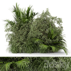 Outdoor Plants Bush Bush Set 446 3D Models 