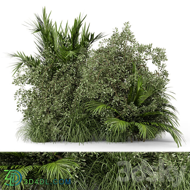 Outdoor Plants Bush Bush Set 446 3D Models