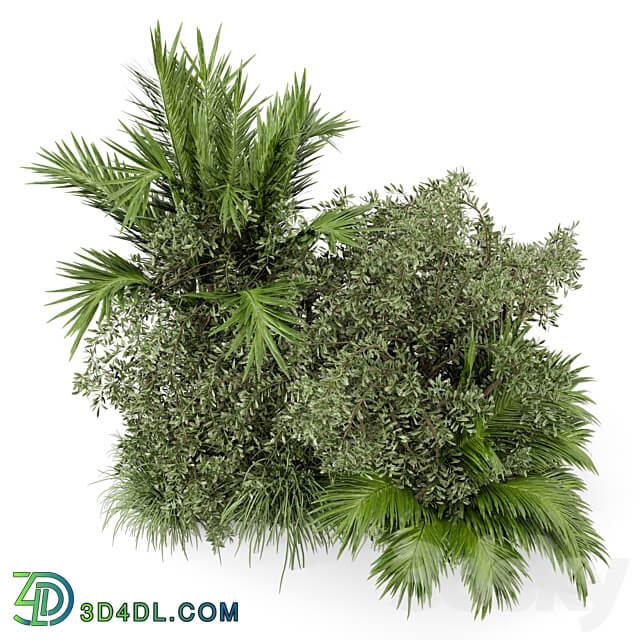 Outdoor Plants Bush Bush Set 446 3D Models