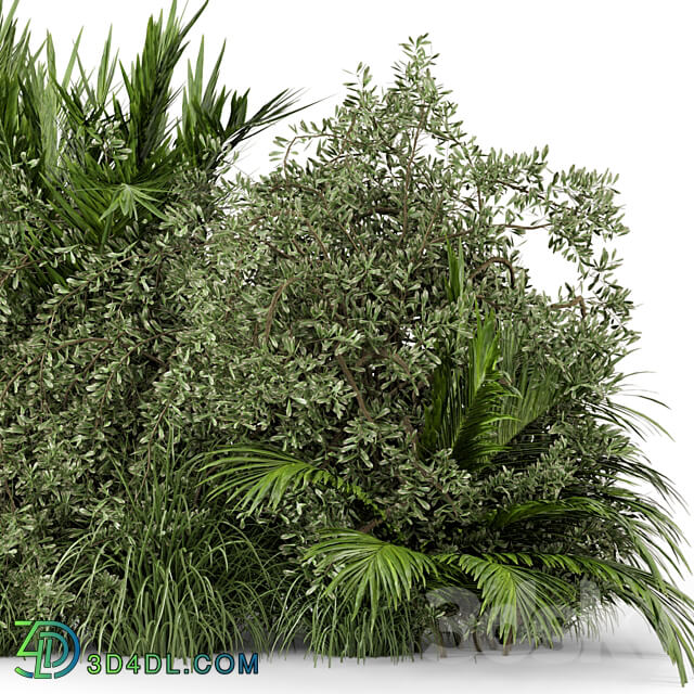 Outdoor Plants Bush Bush Set 446 3D Models