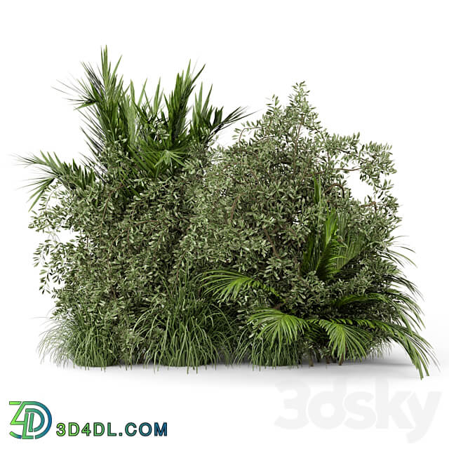 Outdoor Plants Bush Bush Set 446 3D Models