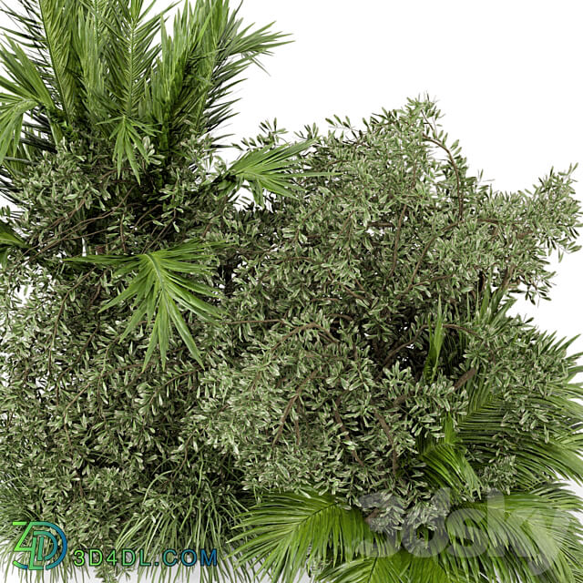 Outdoor Plants Bush Bush Set 446 3D Models