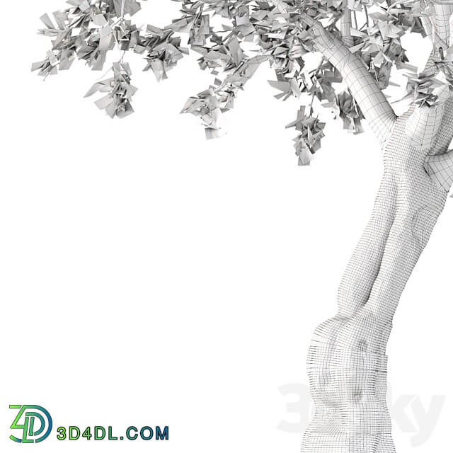 Bristly locust tree 1 Tree 3D Models